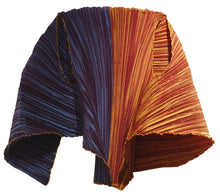 Load image into Gallery viewer, Caren Shen Original Pleated Apparel - ORIGAMI