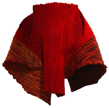 Load image into Gallery viewer, Caren Shen Original Pleated Apparel - ORIGAMI