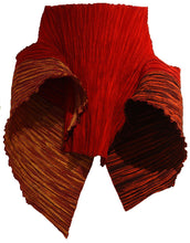 Load image into Gallery viewer, Caren Shen Original Pleated Apparel - ORIGAMI