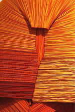 Load image into Gallery viewer, Caren Shen Original Pleated Apparel - ORIGAMI