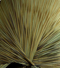 Load image into Gallery viewer, Caren Shen Original Pleated Apparel - ORIGAMI