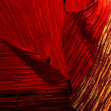 Load image into Gallery viewer, Caren Shen Original Pleated Apparel - ORIGAMI