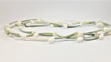 Load image into Gallery viewer, Tusk Shells with Silver Clasp - ARGONAUTS Collection