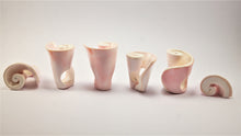 Load image into Gallery viewer, The Conch Shell Rings - ARGONAUTS Collection