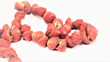 Load image into Gallery viewer, Red Shell Necklace
