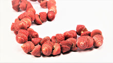 Load image into Gallery viewer, Red Shell Necklace