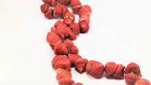 Load image into Gallery viewer, Red Shell Necklace