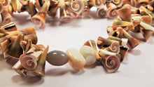 Load image into Gallery viewer, ARGONAUTS Collection - Beautiful Aesthetic Spiral Pattern Shell Necklace