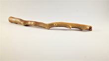 Load image into Gallery viewer, Real Deep Sea Golden Coral – Large Untreated Raw Specimen / Natural Golden Coral Branch