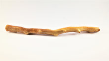 Load image into Gallery viewer, Real Deep Sea Golden Coral – Large Untreated Raw Specimen / Natural Golden Coral Branch