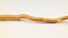 Load image into Gallery viewer, Real Deep Sea Golden Coral – Large Untreated Raw Specimen / Natural Golden Coral Branch