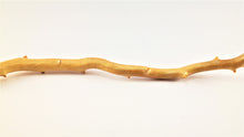 Load image into Gallery viewer, Real Deep Sea Golden Coral – Large Untreated Raw Specimen / Natural Golden Coral Branch