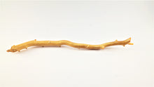 Load image into Gallery viewer, Real Deep Sea Golden Coral – Large Untreated Raw Specimen / Natural Golden Coral Branch