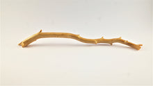 Load image into Gallery viewer, Real Deep Sea Golden Coral – Large Untreated Raw Specimen / Natural Golden Coral Branch