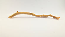 Load image into Gallery viewer, Real Deep Sea Golden Coral – Large Untreated Raw Specimen / Natural Golden Coral Branch