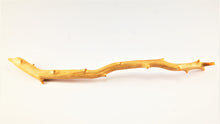 Load image into Gallery viewer, Real Deep Sea Golden Coral – Large Untreated Raw Specimen / Natural Golden Coral Branch