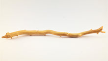 Load image into Gallery viewer, Real Deep Sea Golden Coral – Large Untreated Raw Specimen / Natural Golden Coral Branch