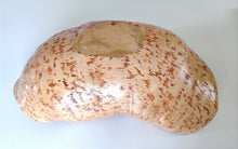 Load image into Gallery viewer, Bckside of an Exceptional Large Swedish Burl Knot Bowl from AHOYART
