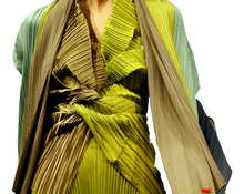 Load image into Gallery viewer, Caren Shen Original Pleated Apparel - ORIGAMI
