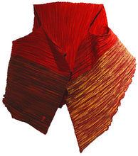 Load image into Gallery viewer, Caren Shen Original Pleated Apparel - ORIGAMI
