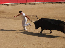 Load image into Gallery viewer, AHOYART NFT Collection
