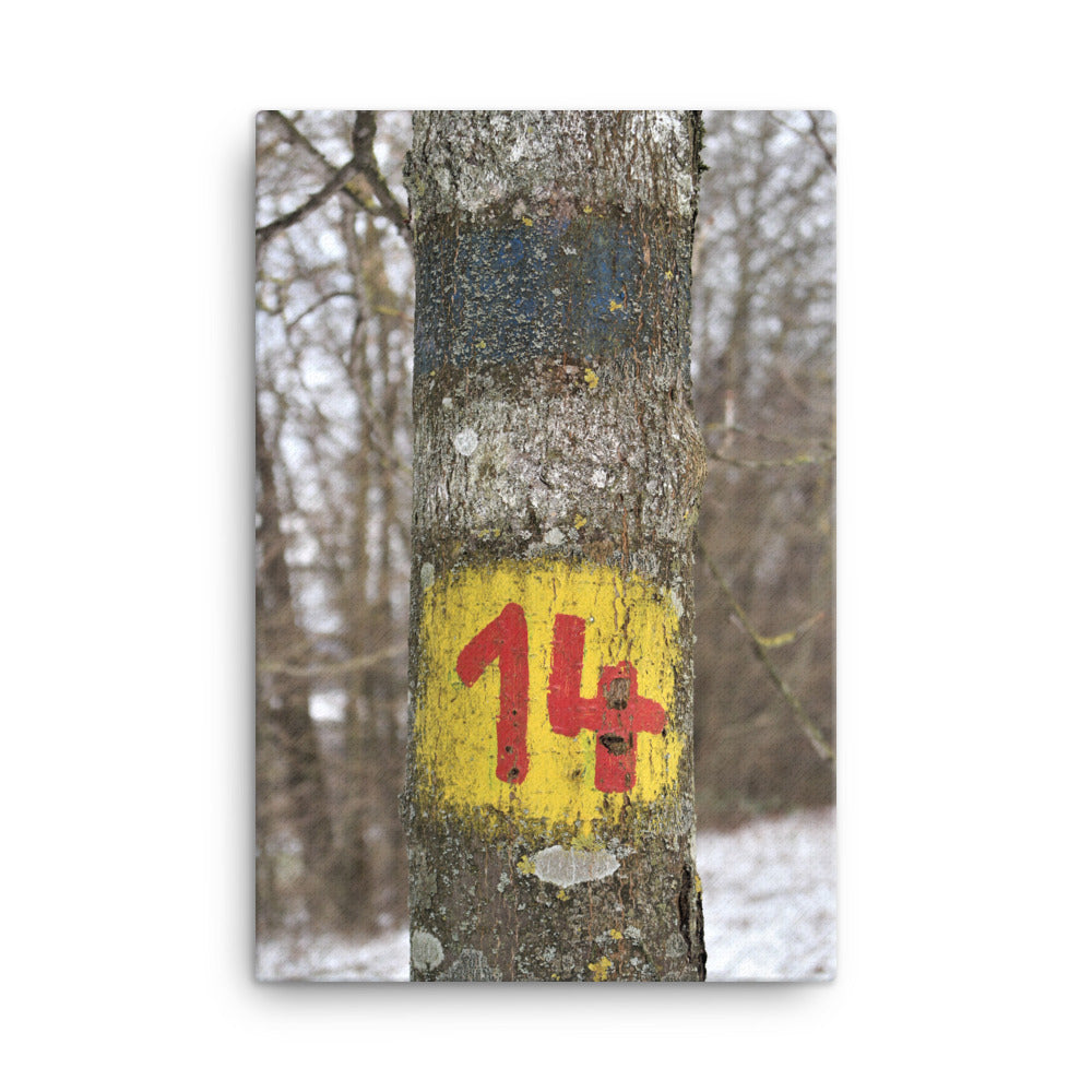 Number #14 Canvas Print