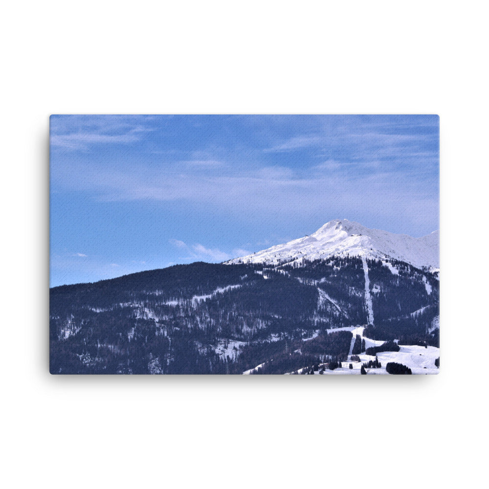 Lermooser Alm Canvas Print