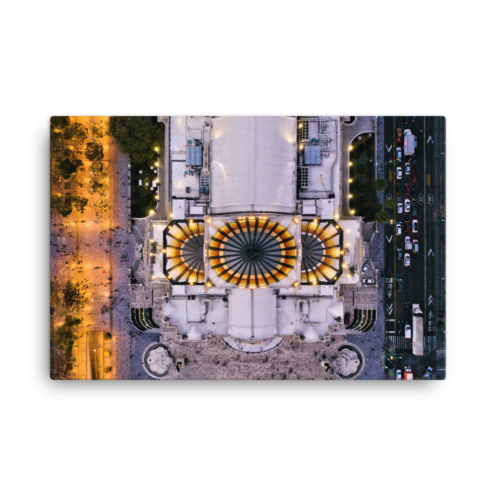 Drone 2 Canvas Print