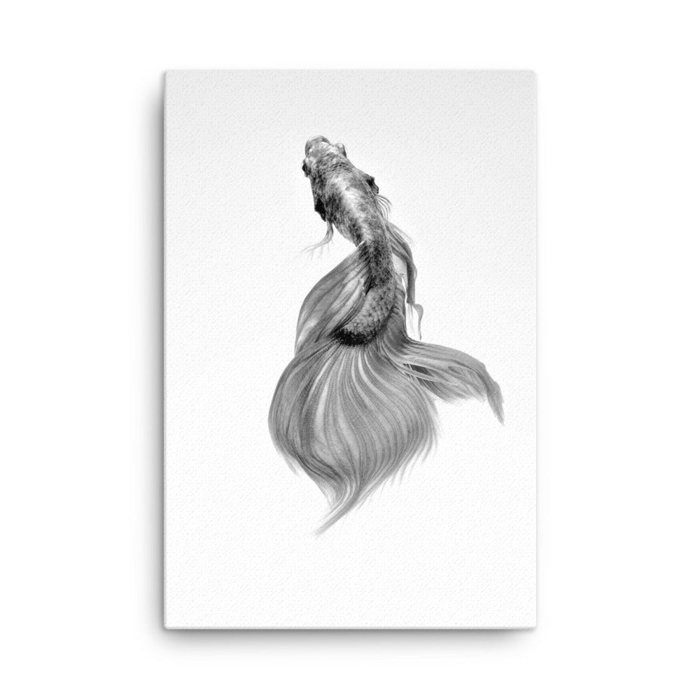 Fish Canvas Print