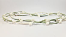 Load image into Gallery viewer, Tusk Shells with Silver Clasp - ARGONAUTS Collection
