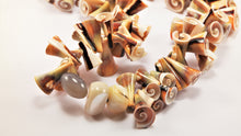 Load image into Gallery viewer, ARGONAUTS Collection - Beautiful Aesthetic Spiral Pattern Shell Necklace
