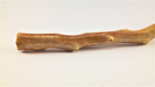 Load image into Gallery viewer, Out of the Ordinary Thick Specimen of Deep Sea Gold Coral
