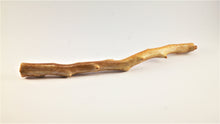 Load image into Gallery viewer, Out of the Ordinary Thick Specimen of Deep Sea Gold Coral

