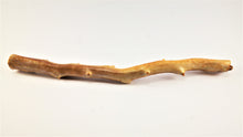 Load image into Gallery viewer, Out of the Ordinary Thick Specimen of Deep Sea Gold Coral
