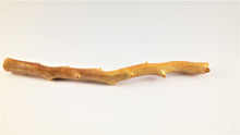 Load image into Gallery viewer, Out of the Ordinary Thick Specimen of Deep Sea Gold Coral
