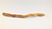Load image into Gallery viewer, Out of the Ordinary Thick Specimen of Deep Sea Gold Coral
