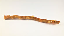 Load image into Gallery viewer, Out of the Ordinary Thick Specimen of Deep Sea Gold Coral
