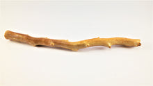 Load image into Gallery viewer, Out of the Ordinary Thick Specimen of Deep Sea Gold Coral

