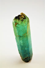 Load image into Gallery viewer, Fine Aquamarine Bicolor Specimen
