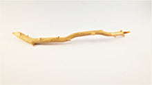 Load image into Gallery viewer, Exceptionally Large Specimen of Deep Sea Gold Coral
