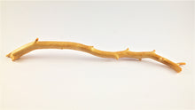 Load image into Gallery viewer, Exceptionally Large Specimen of Deep Sea Gold Coral
