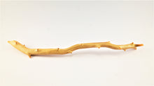Load image into Gallery viewer, Exceptionally Large Specimen of Deep Sea Gold Coral
