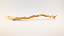 Load image into Gallery viewer, Exceptionally Large Specimen of Deep Sea Gold Coral
