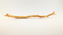 Load image into Gallery viewer, Exceptionally Large Specimen of Deep Sea Gold Coral
